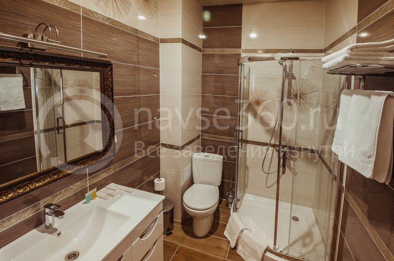 Отель Vision, де люкс, с/у