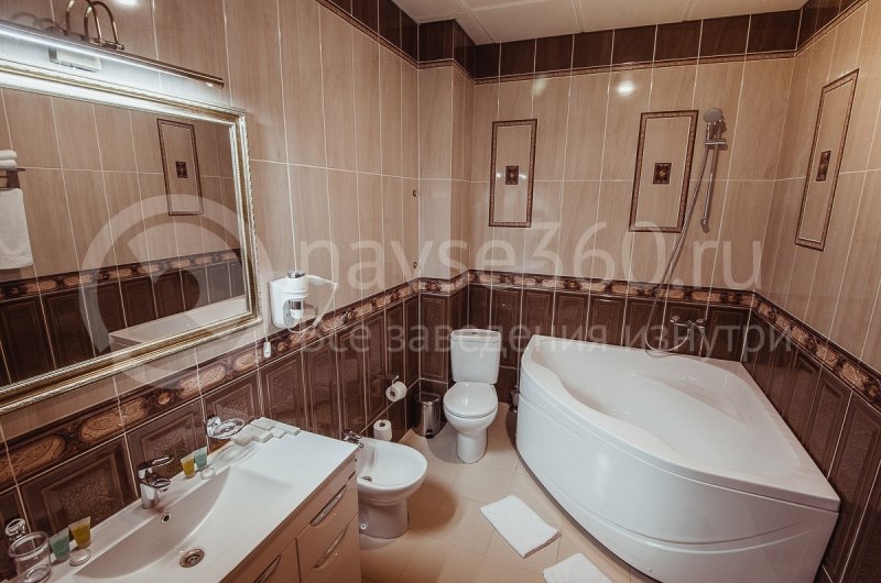 Отель Vision, люкс, с/у