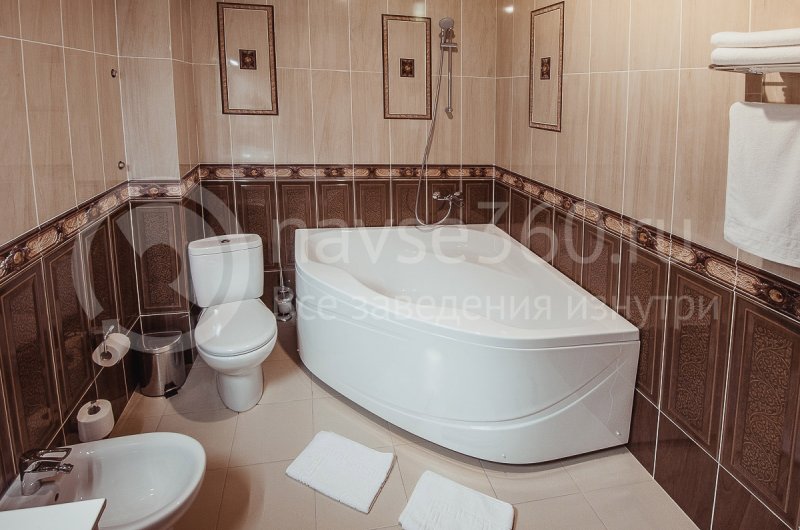 Отель Vision, люкс, с/у