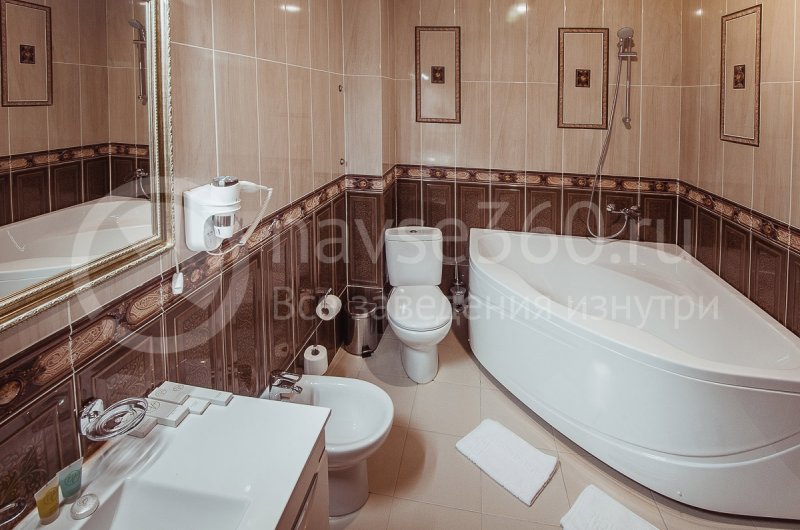 Отель Vision, люкс, с/у